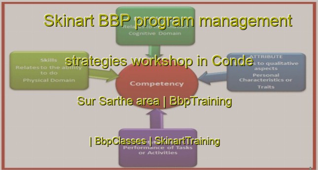 Skinart BBP program management strategies workshop in Conde Sur Sarthe area | BbpTraining | BbpClasses | SkinartTraining-France